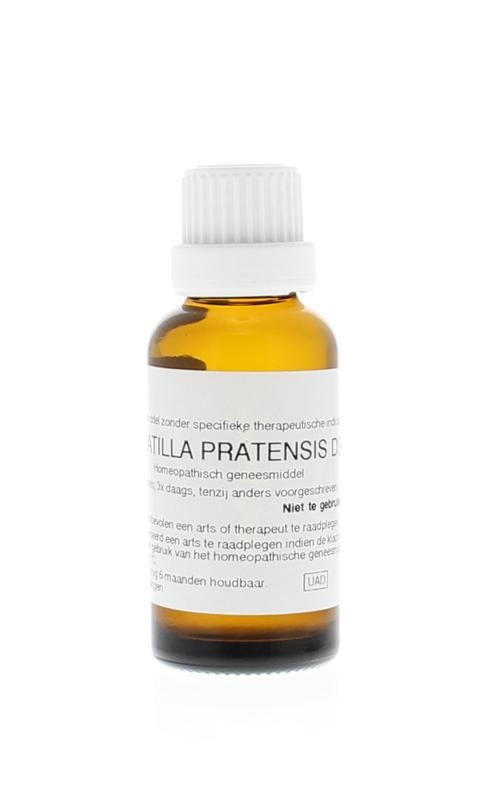 Homeoden Heel Pulsatilla pratensis D30 (30 Ml)