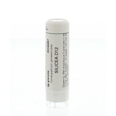 Homeoden Heel Kieselsäure D12 (6 gr)