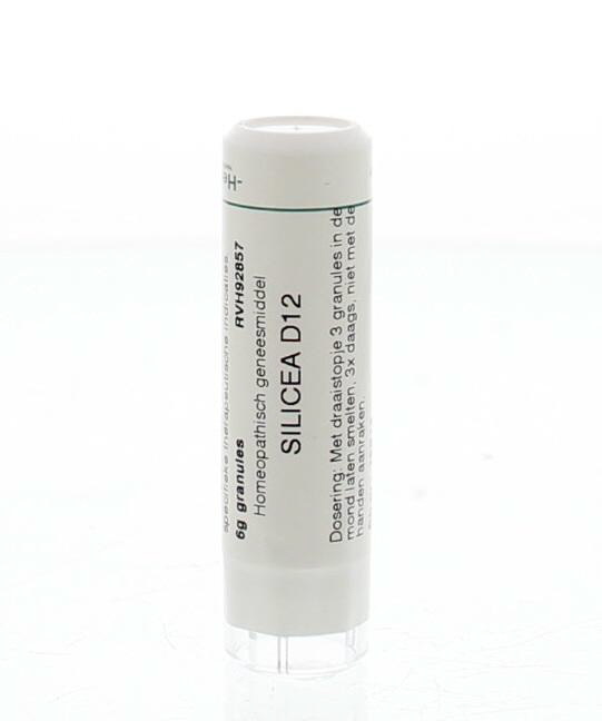 Homeoden Heel Kieselsäure D12 (6 gr)