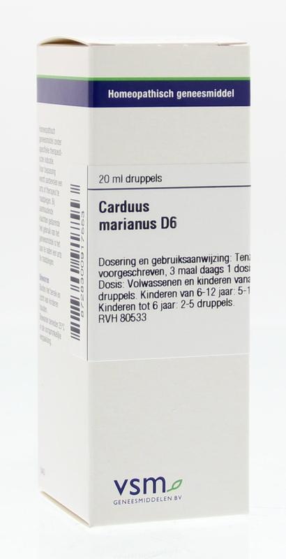VSM VSM Blütenstandsboden D6 (20 Ml)