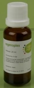 Balance Pharma RGP020 Nervensystem Regenoplex (30 Ml)
