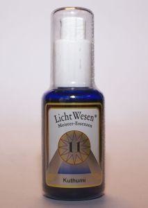 Lichtwesen Kuthumi-Tinktur 11 (30 Ml)