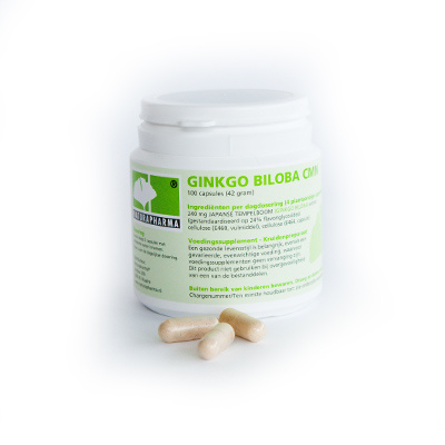 Naturapharma Ginkgo biloba CMN plus (100 VCaps)