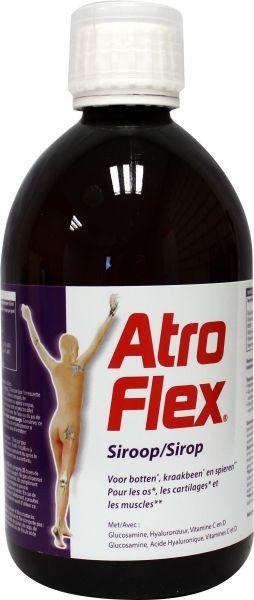 Atroflex Atroflex Gelenksirup (500 Ml)