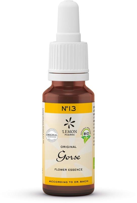 Lemonpharma Bach Bachblüten Ginster Bio (20 Ml)