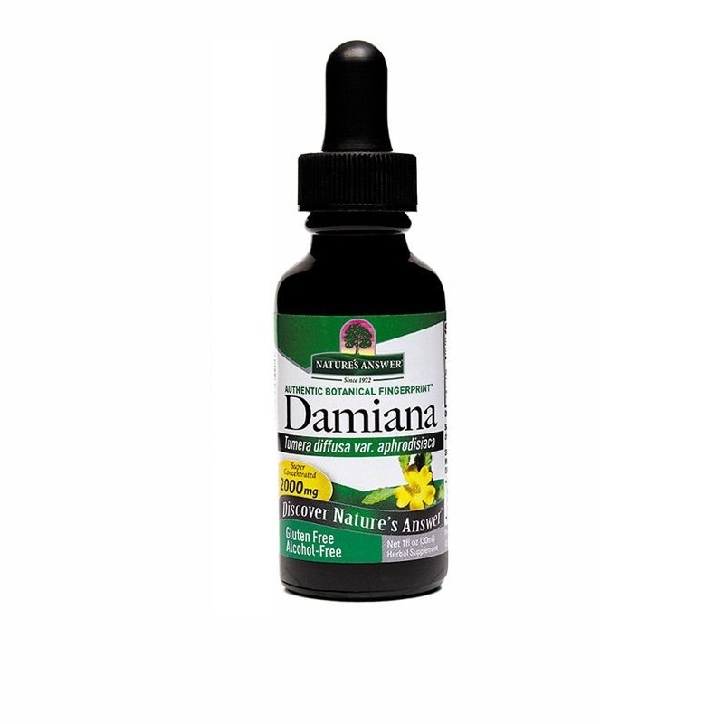 Natures Answer Damiana Extrakt 1: 1 alkoholfrei 2500 mg 30 Ml