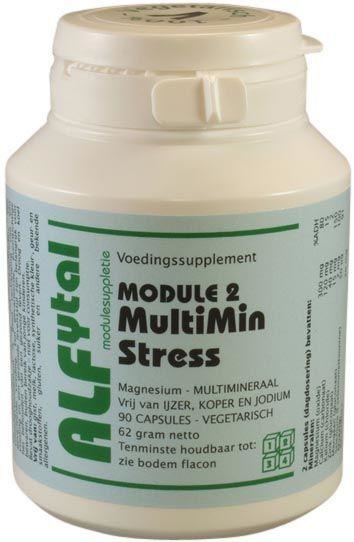 Alfytal MultiMin Stress (90 VCaps)