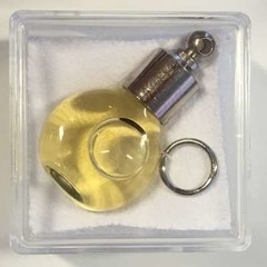 Star Remedies Anhänger mit Schutz (1 Stück)