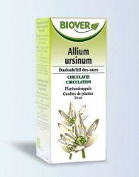 Biover Biover Allium ursinum Tinktur bio (50 Ml)