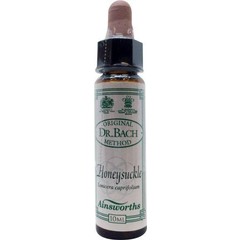 Ainsworths Geißblatt Bach (10Ml)