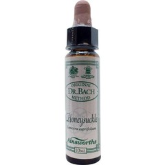 Ainsworths Geißblatt Bach (10ml)