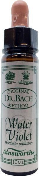 Ainsworths Wasservioletter Bach (10 Ml)