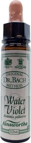 Ainsworths Ainsworths Wasservioletter Bach (10 ml)