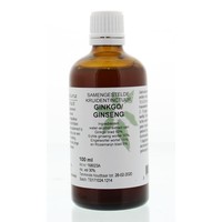 Natura Sanat Natura Sanat Ginkgo / Ginseng-Kompletttinktur (100 Ml)