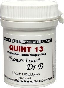 DNH Quint 13 (120 Tab)
