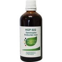 Balance Pharma Balance Pharma HGP022 Gemmoplex endokriner Mann (100 Ml)