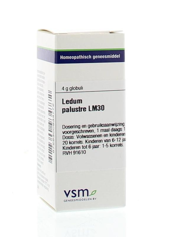 VSM VSM Ledum palustre LM30 (4 gr)