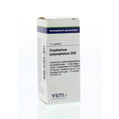 VSM Gnaphalium polycephalum D30 (10 g)
