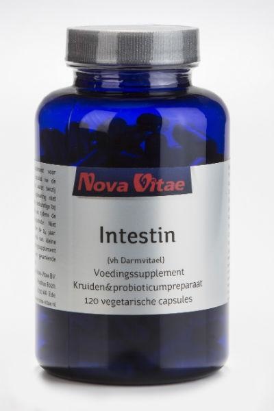 Nova Vitae Nova Vitae Darmkomplex (120 Caps)