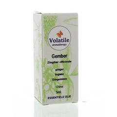 Volatile Ingwer (5ml)