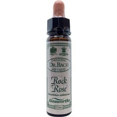 Ainsworths Zistrosenbach (10 ml)