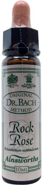 Ainsworths Zistrosenbach (10 Ml)