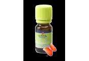 Volatile Saunamischung Kobenhavn/Pfefferminze (10 Ml)