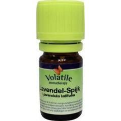Volatile Lavendelspitze (10 ml)