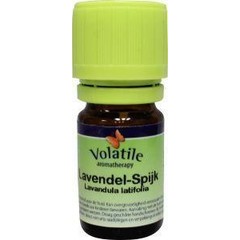 Volatile Lavendelspitze (10 Ml)