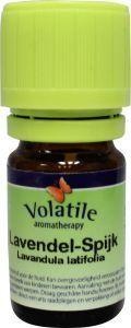 Volatile Lavendelspitze (10 Ml)