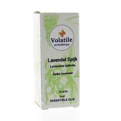 Volatile Lavendelspitze (5 Ml)