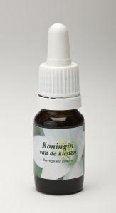 Star Remedies Königin der Küsten (10 Ml)
