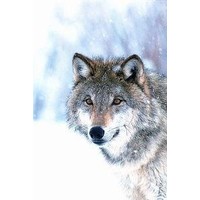 Animal Essences Animal Essences Wolf (30Ml)