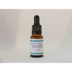 Indigo Essences Chrysokoll Kieselerde (15Ml)