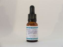 Indigo Essences Chrysokoll Kieselerde (15Ml)