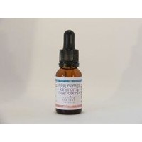 Indigo Essences Indigo Essences Larimar & Rosenquarz (15 Ml)