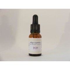 Indigo Essences Knall (15ml)