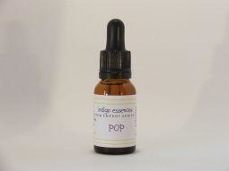 Indigo Essences Knall (15Ml)