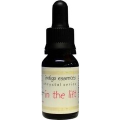 Indigo Essences Im Fahrstuhl (15 ml)