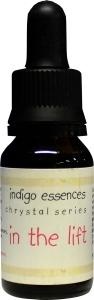 Indigo Essences Indigo Essences Im Fahrstuhl (15 ml)