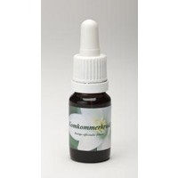 Star Remedies Star Remedies Gurkengewürz (10 ml)