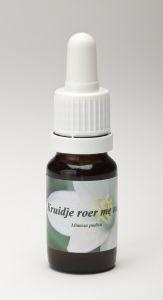 Star Remedies Kraut rühr mich nicht (10 Ml)