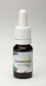 Star Remedies Barmherzigkeitskraut (10 Ml)