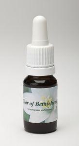 Star Remedies Stern von Bethlehem (10Ml)