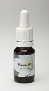 Star Remedies Seerose (10 Ml)