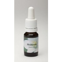 Star Remedies Star Remedies Mayflower (10 Ml)
