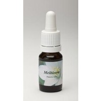 Star Remedies Star Remedies Mayflower (10 ml)