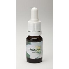 Star Remedies Mayflower (10 Ml)