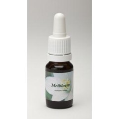 Star Remedies Mayflower (10 ml)