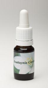 Star Remedies Houttuynia cordata (10 Ml)